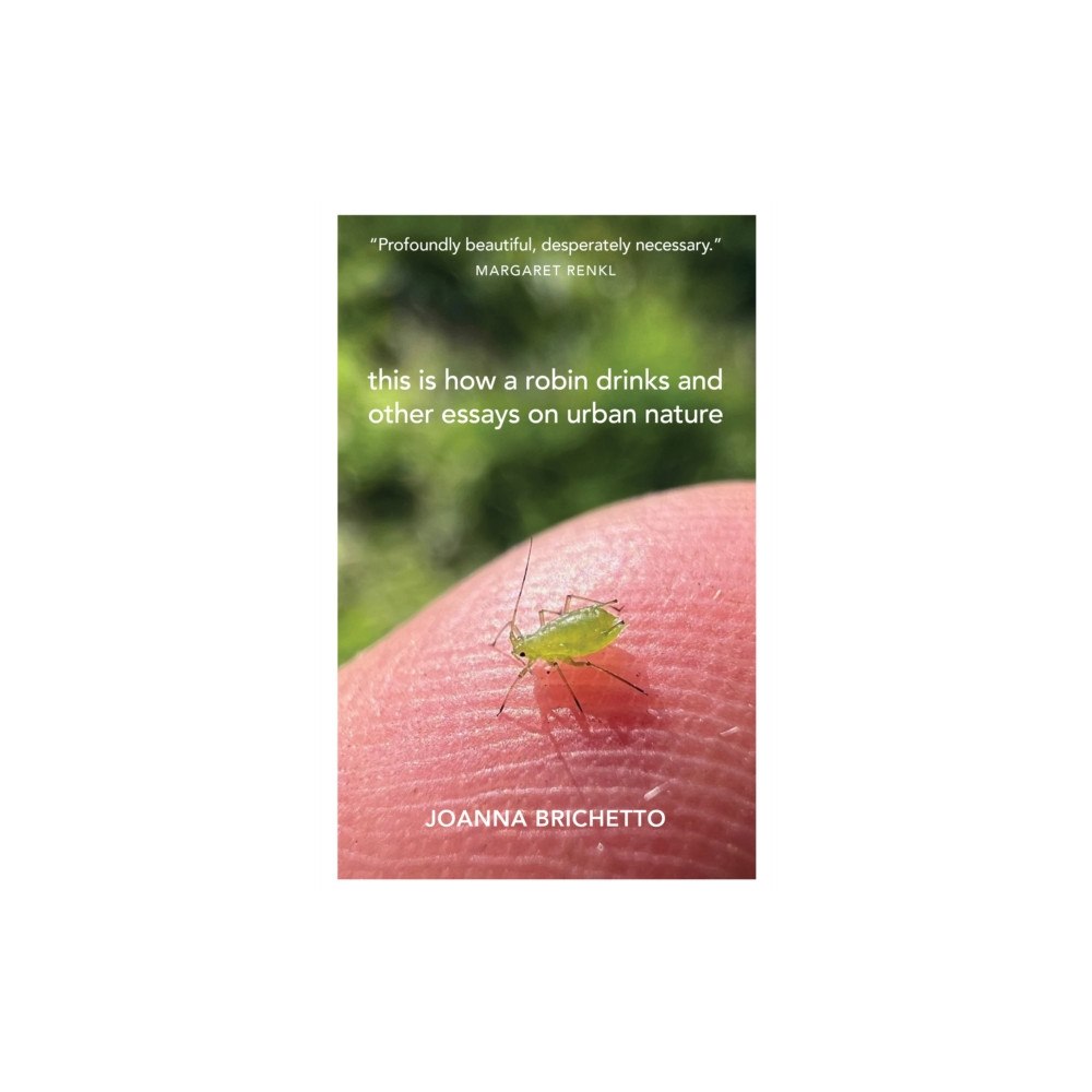 Trinity University Press,U.S. This Is How a Robin Drinks (häftad, eng)