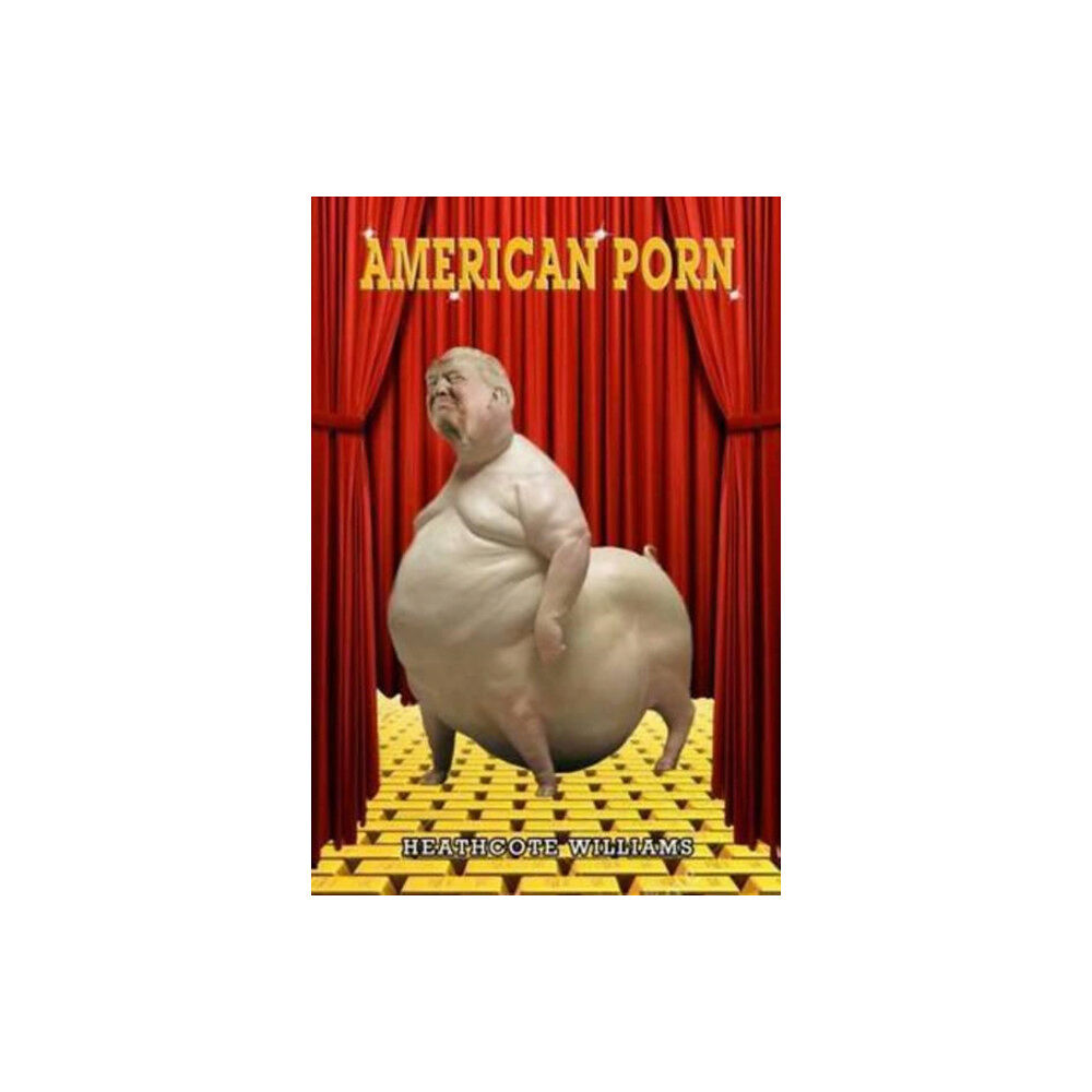 Thin Man Press American Porn (häftad, eng)