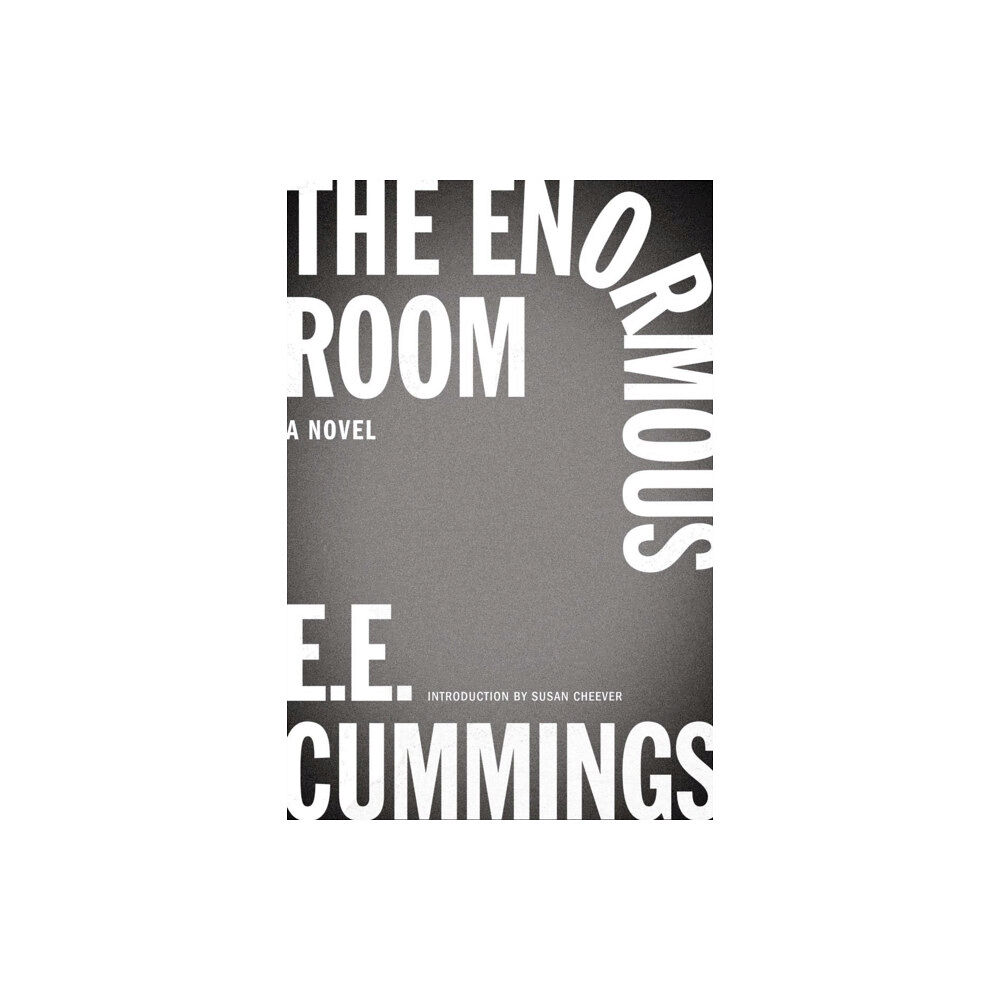 W W Norton & Co Ltd The Enormous Room (häftad, eng)