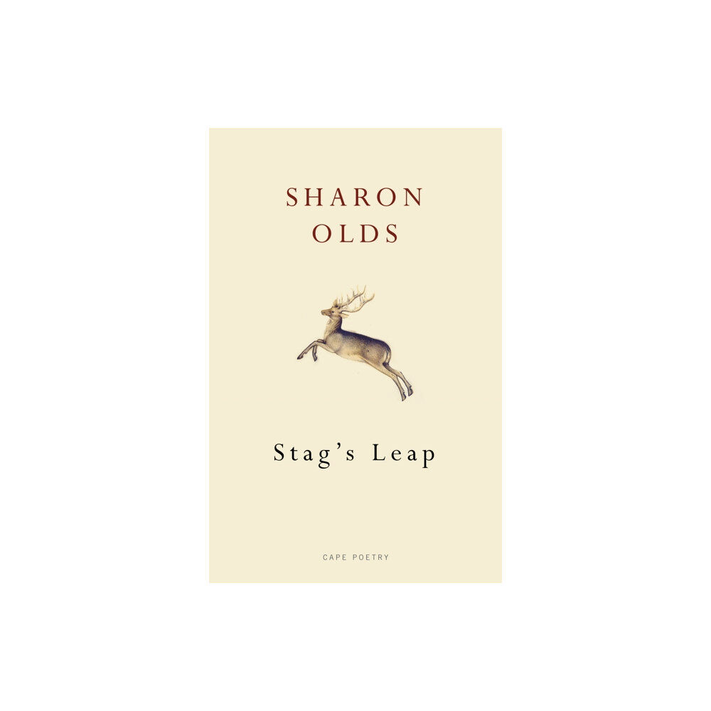 Vintage Publishing Stag's Leap (häftad, eng)