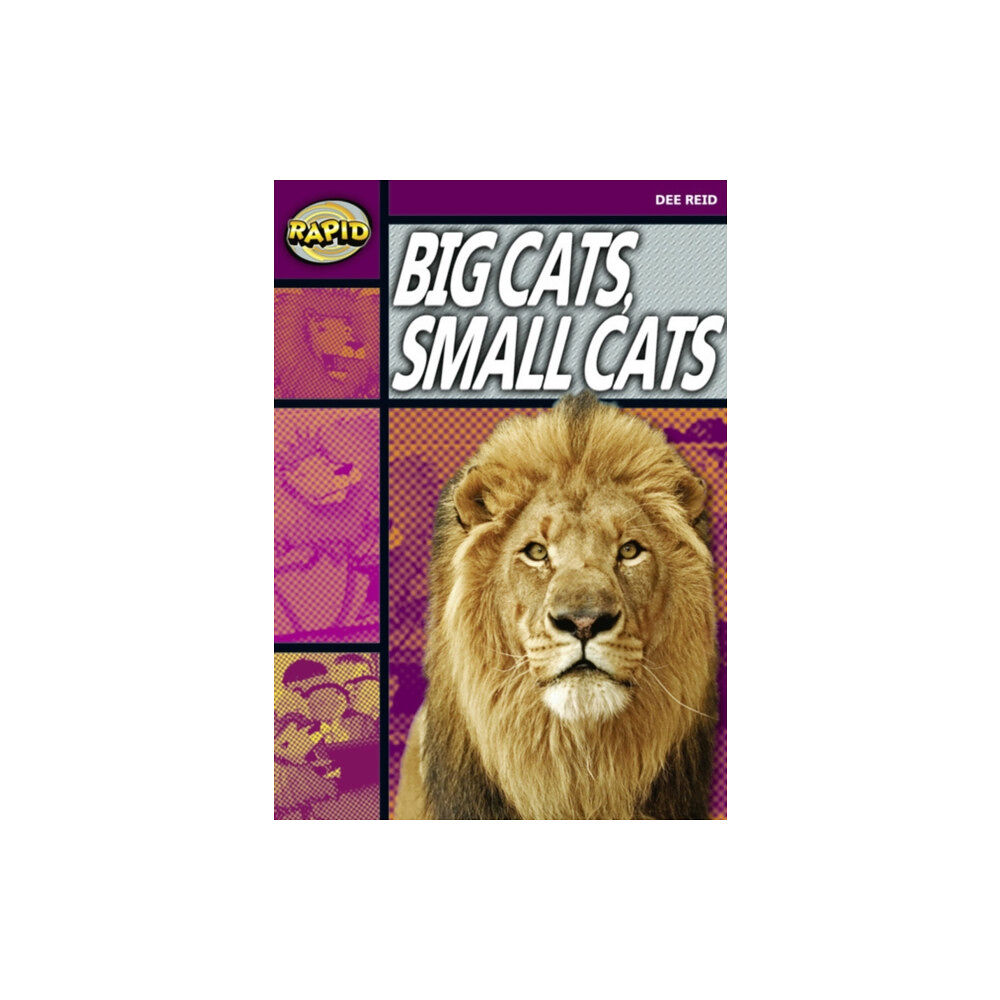 Pearson Education Limited Rapid Reading: Big Cats Small Cats (Stage 1, Level 1A) (häftad, eng)