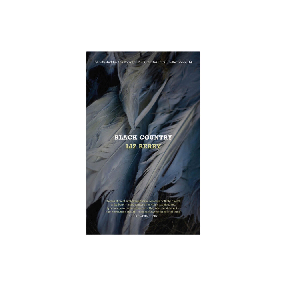 Vintage Publishing Black Country (häftad, eng)