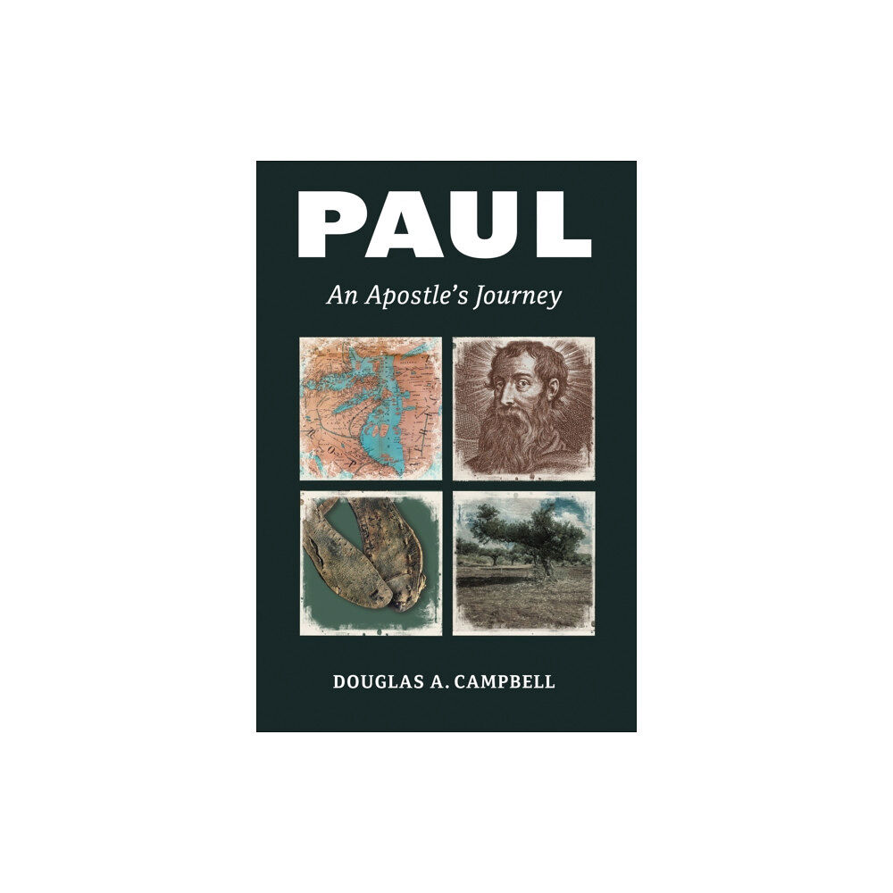 William b eerdmans publishing co Paul (häftad, eng)