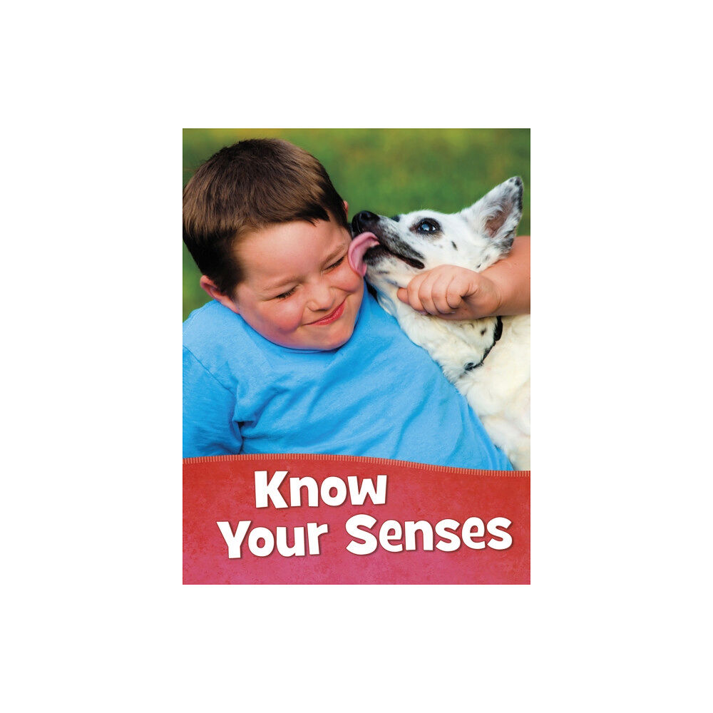 Capstone Global Library Ltd Know Your Senses (häftad, eng)