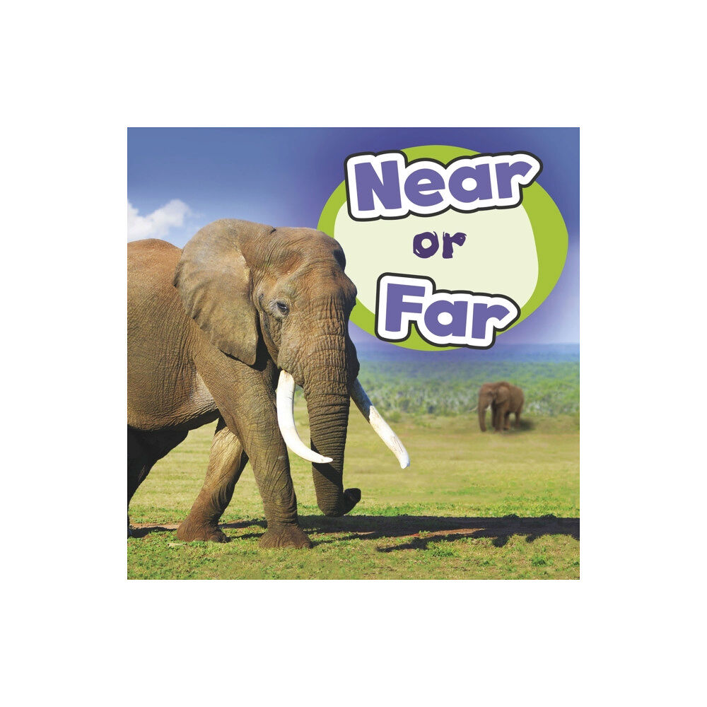 Capstone Global Library Ltd Near or Far (häftad, eng)