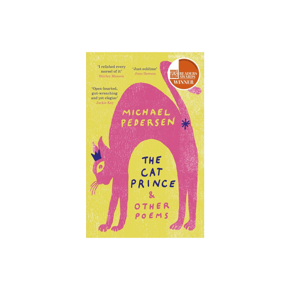 Little, Brown Book Group The Cat Prince (häftad, eng)