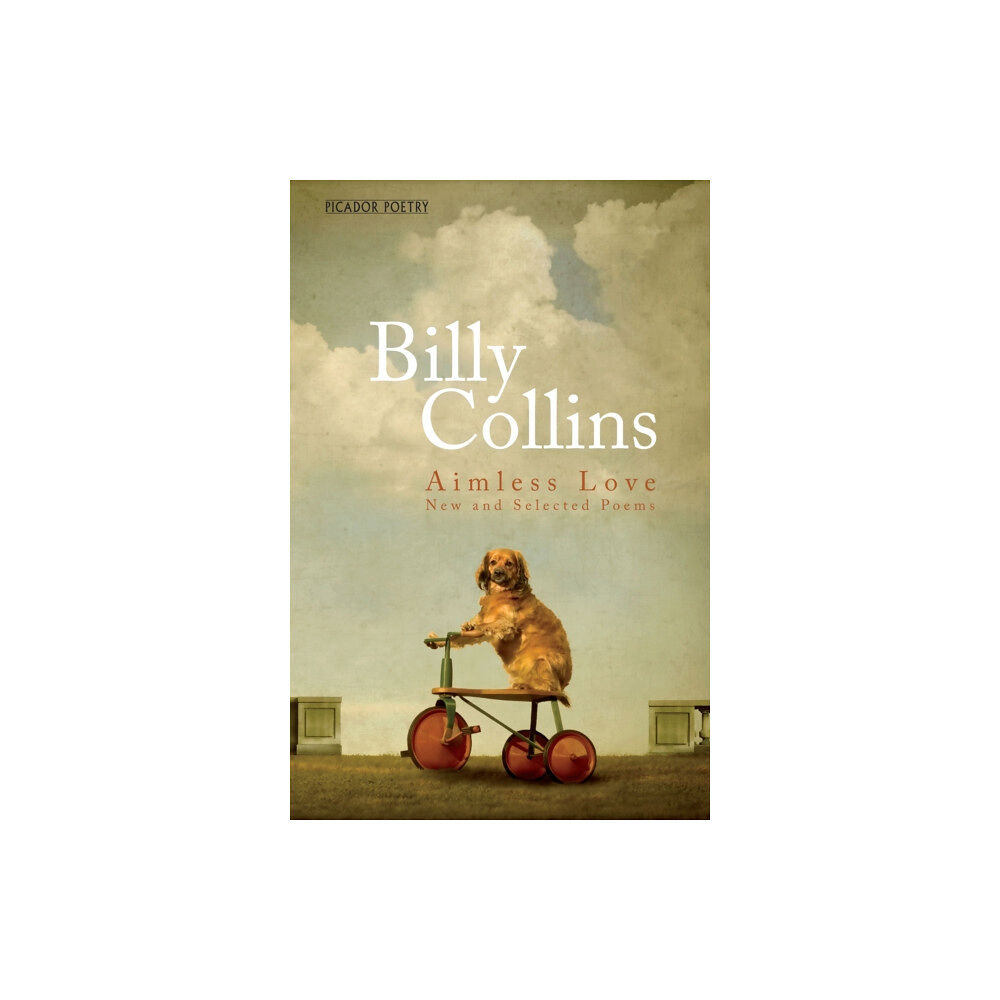 Pan Macmillan Aimless Love (häftad, eng)