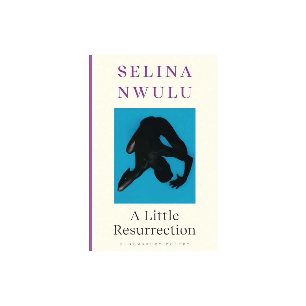 Bloomsbury Publishing PLC A Little Resurrection (häftad, eng)