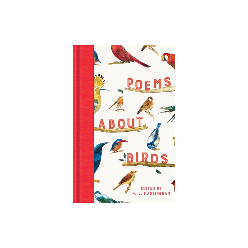 Pan Macmillan Poems About Birds (inbunden, eng)
