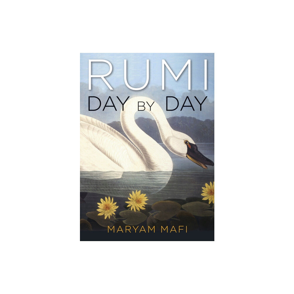 Red Wheel/Weiser Rumi, Day by Day (häftad, eng)