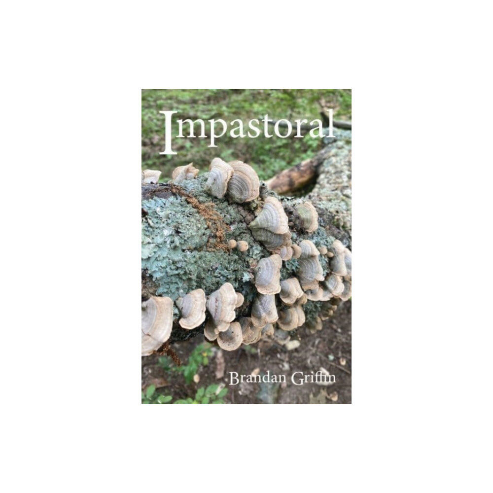 Omnidawn Publishing Impastoral (häftad, eng)