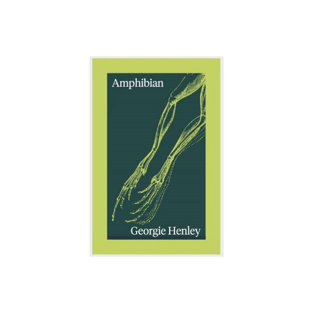 Fourteen Publishing Amphibian (häftad, eng)