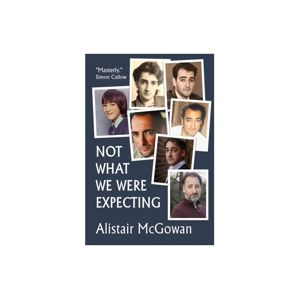 Flapjack Press Not What We Were Expecting (häftad, eng)