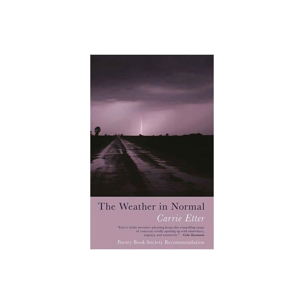 Poetry Wales Press The Weather in Normal (häftad, eng)