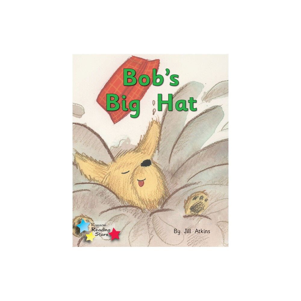 Ransom Publishing Bob and the Hat (häftad, eng)