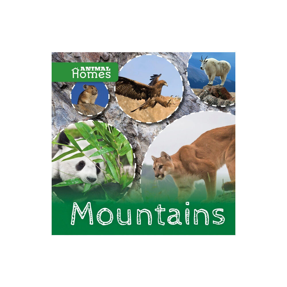 BookLife Publishing Mountains (inbunden, eng)