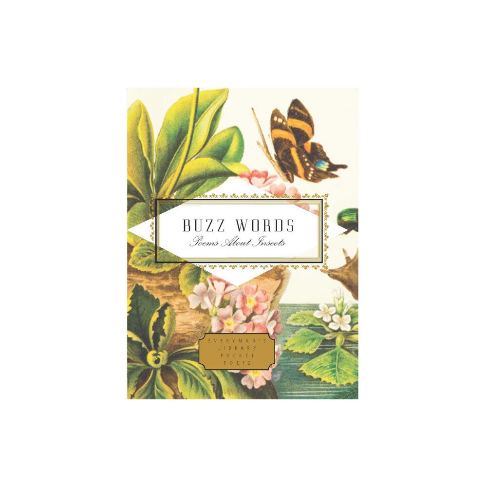 Everyman Buzz Words (inbunden, eng)