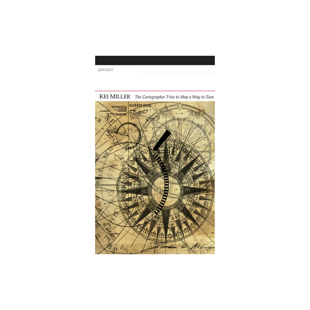 Carcanet Press Ltd The Cartographer Tries to Map a Way to Zion (häftad, eng)