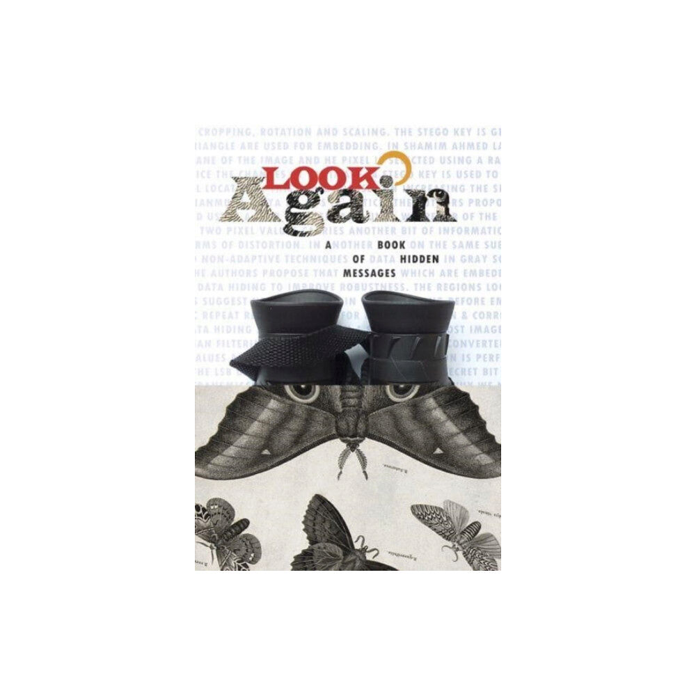 Sidekick Books Look Again (häftad, eng)