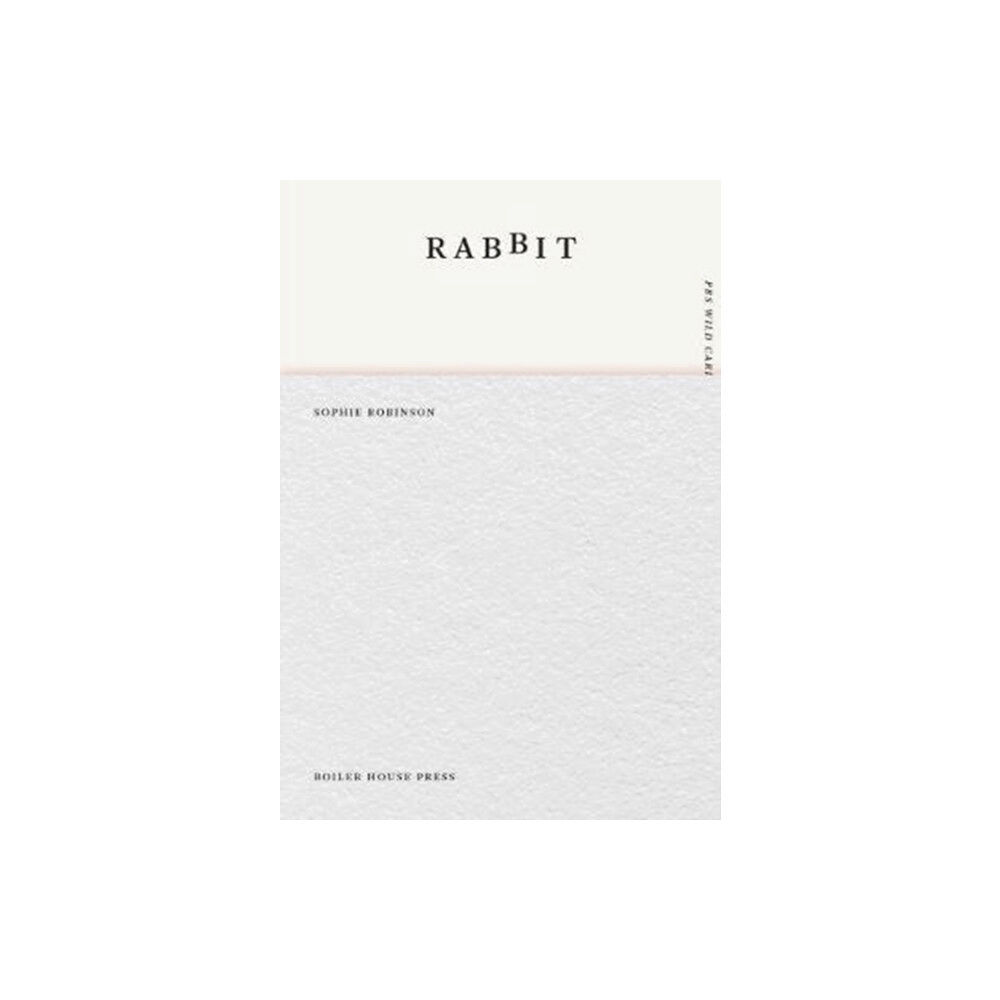 UEA Publishing Project Rabbit (häftad, eng)