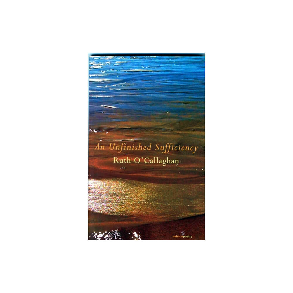 Salmon Poetry An Unfinished Sufficiency (häftad, eng)