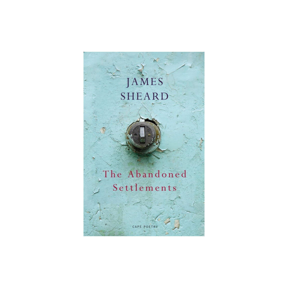 Vintage Publishing The Abandoned Settlements (häftad, eng)