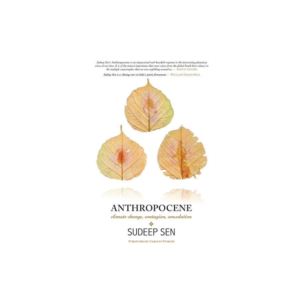 Salt Desert Media Group Ltd. (SDMG) Anthropocene (inbunden, eng)