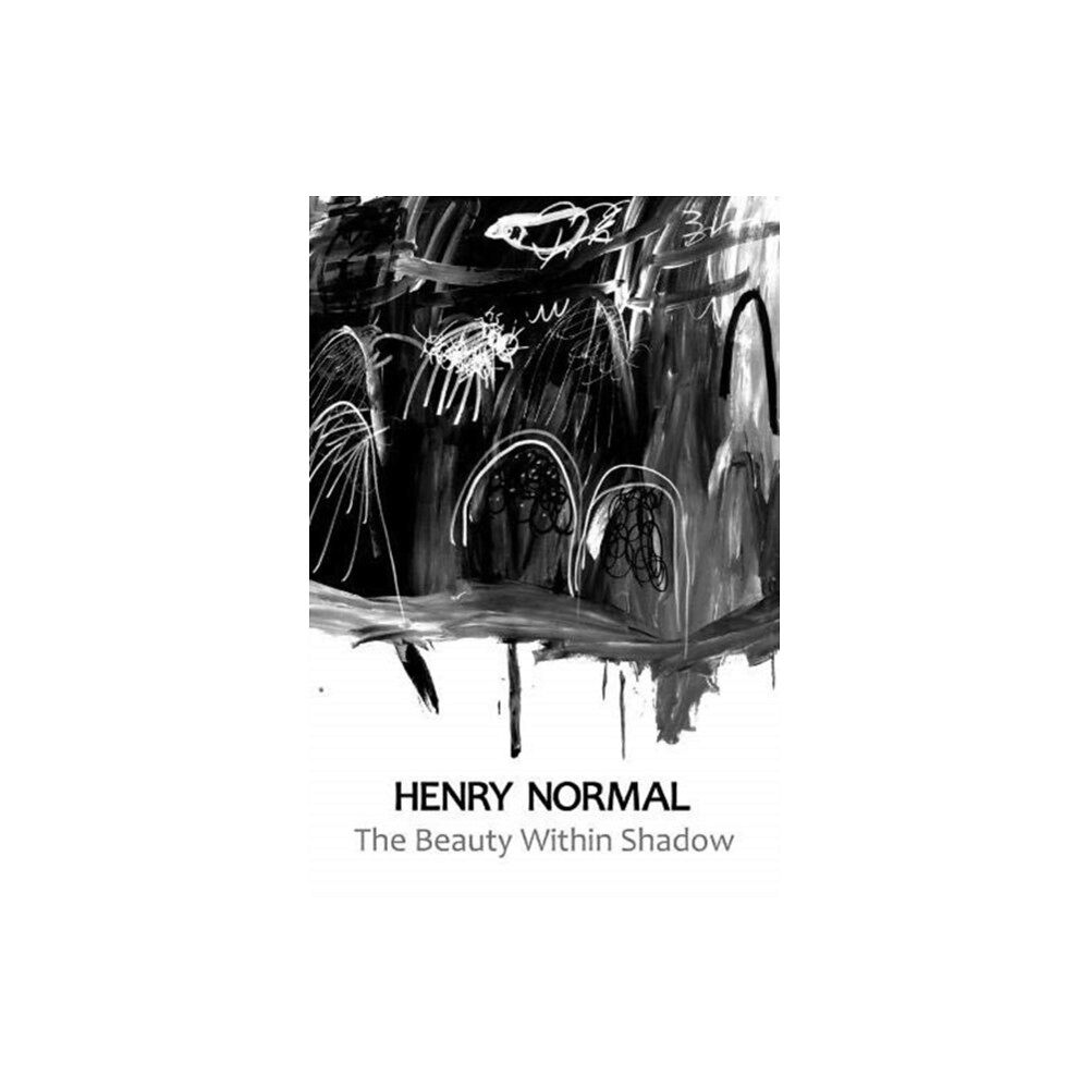 Flapjack Press The Beauty Within Shadow (häftad, eng)