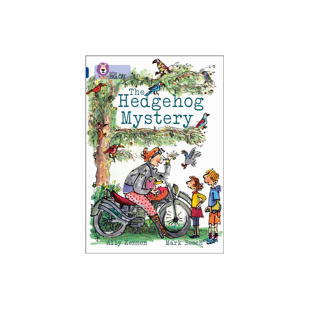 HarperCollins Publishers The Hedgehog Mystery (häftad, eng)