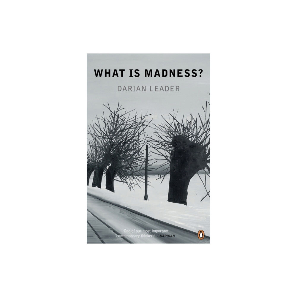 Penguin books ltd What is Madness? (häftad, eng)