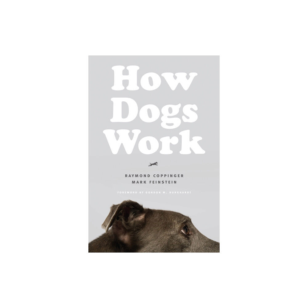 The university of chicago press How Dogs Work (häftad, eng)