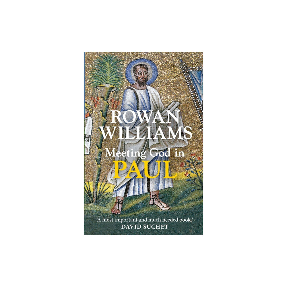 Spck publishing Meeting God in Paul (häftad, eng)