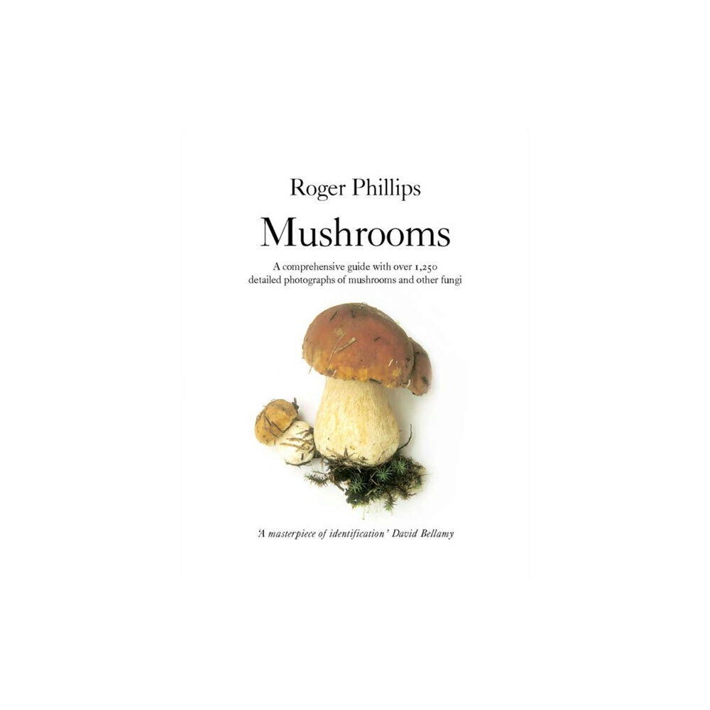 Pan Macmillan Mushrooms (häftad, eng)