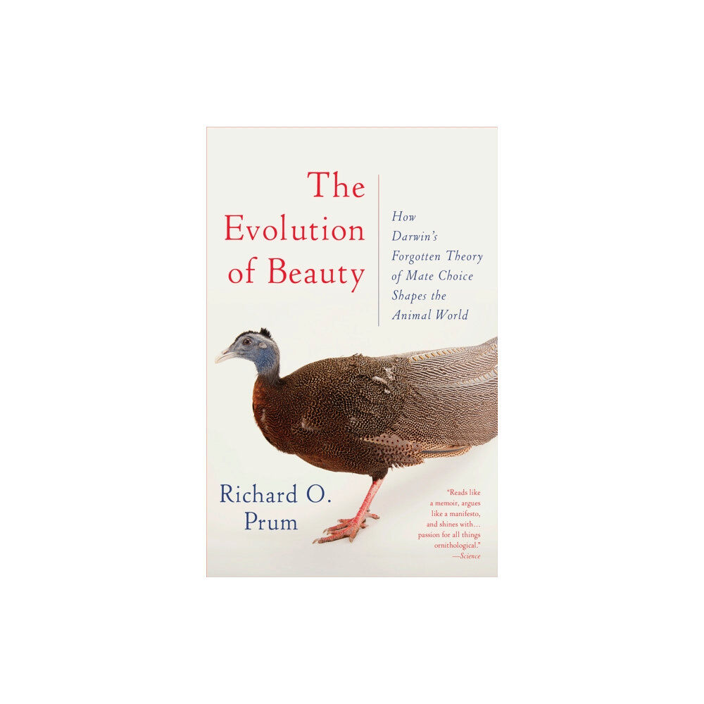 Random House USA Inc Evolution of Beauty (häftad, eng)