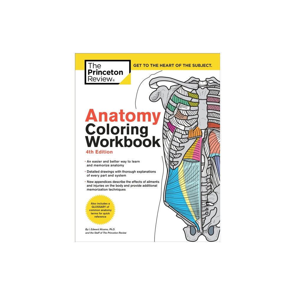 Random House USA Inc Anatomy Coloring Workbook, 4th Edition (häftad, eng)