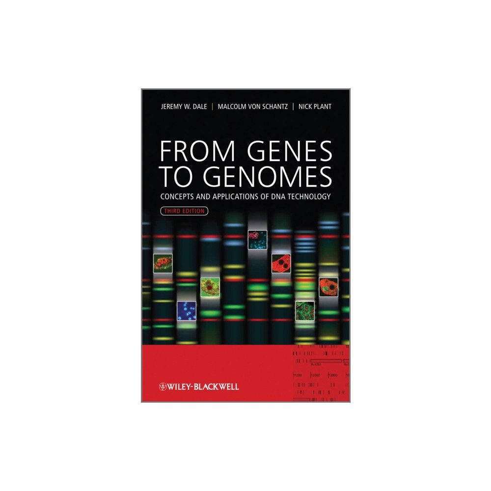 John Wiley & Sons Inc From Genes to Genomes (häftad, eng)