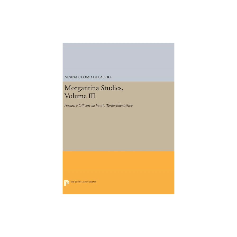 Princeton University Press Morgantina Studies, Volume III (inbunden, eng)