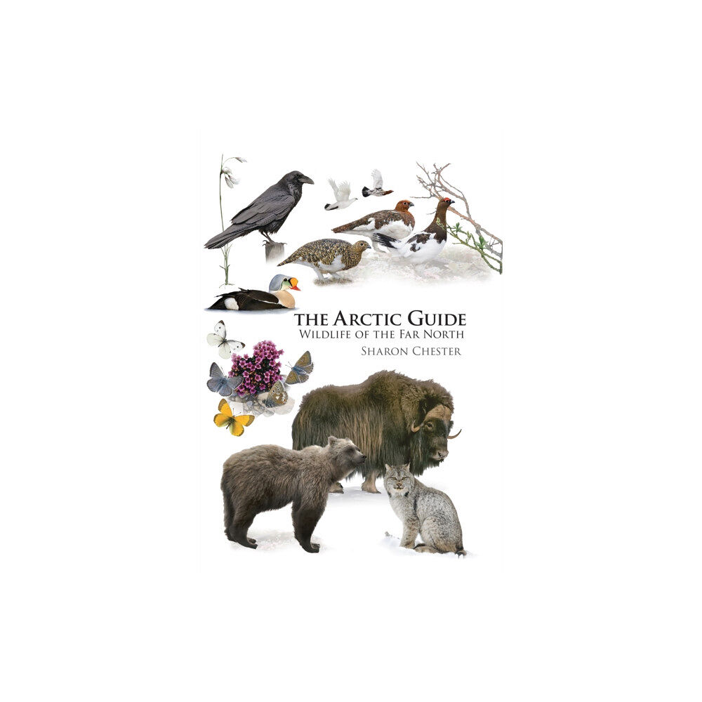 Princeton University Press The Arctic Guide (häftad, eng)