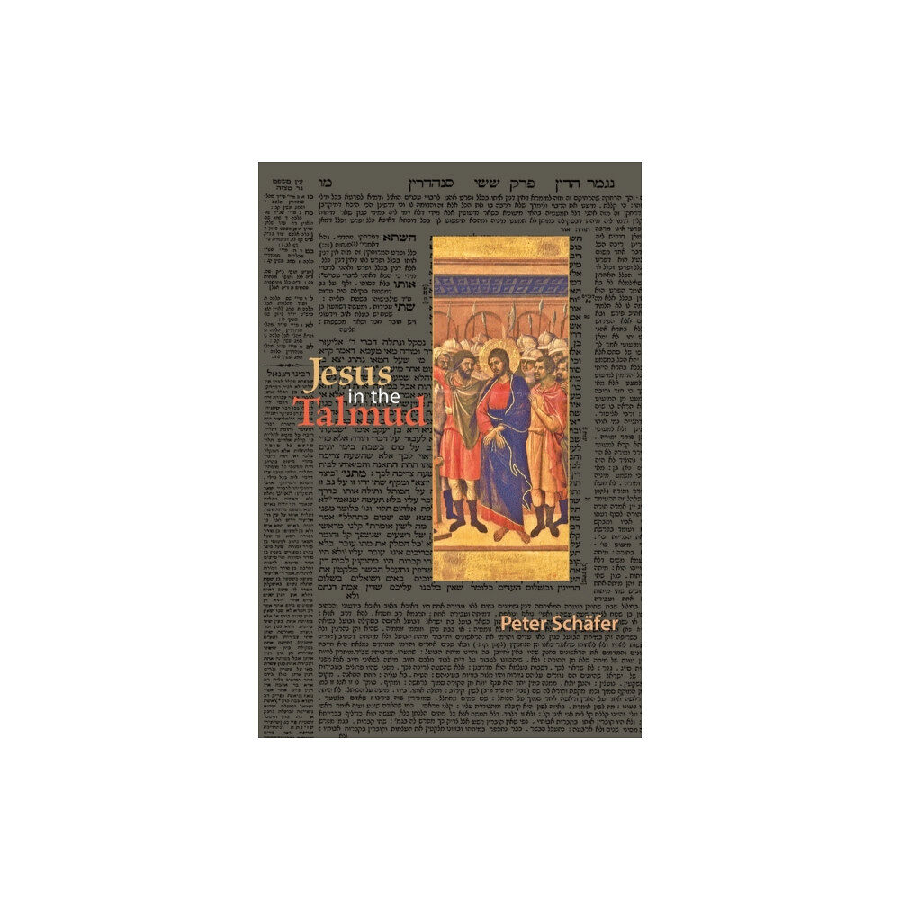 Princeton University Press Jesus in the Talmud (häftad, eng)
