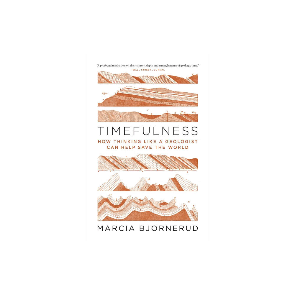 Princeton University Press Timefulness (häftad, eng)