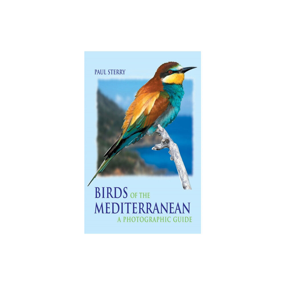 Bloomsbury Publishing PLC Birds of the Mediterranean (häftad, eng)