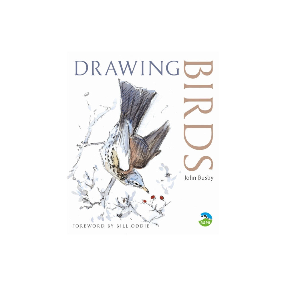 Bloomsbury Publishing PLC Drawing Birds (häftad, eng)