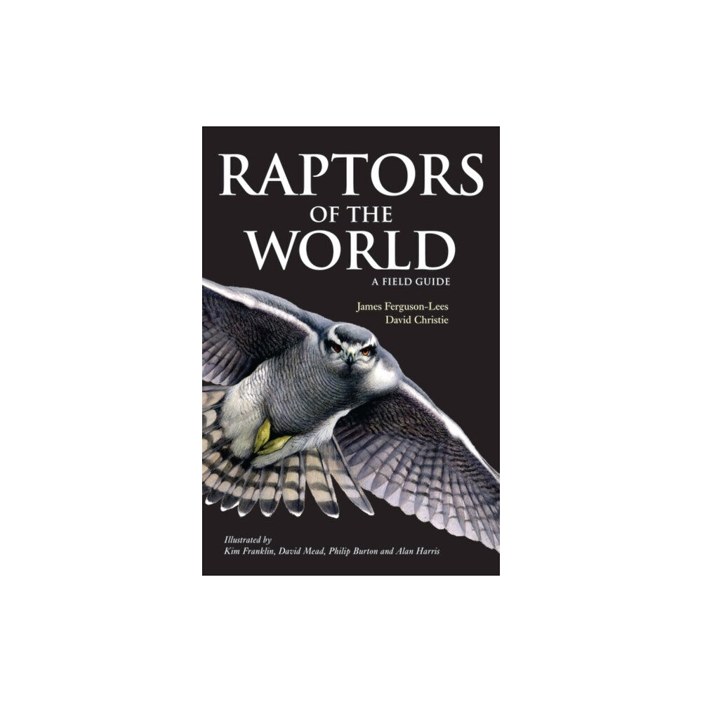 Bloomsbury Publishing PLC Raptors of the World: A Field Guide (häftad, eng)