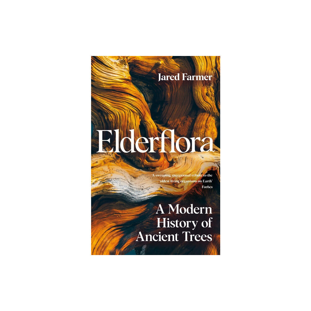 Pan Macmillan Elderflora (inbunden, eng)