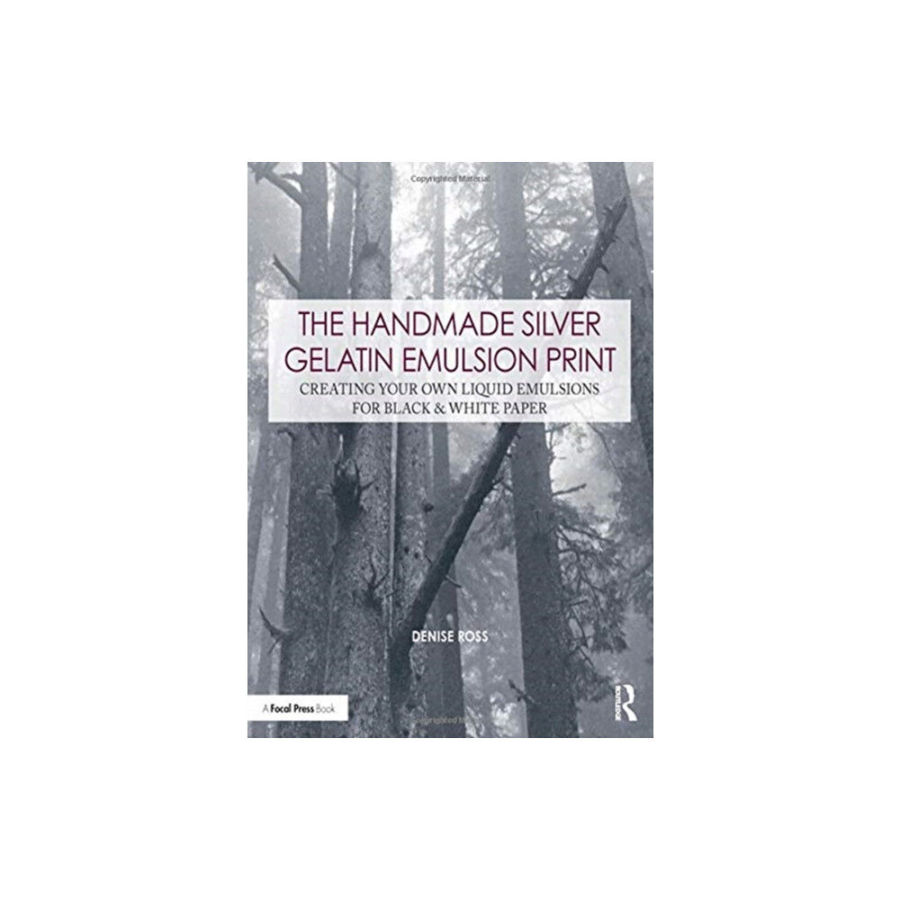 Taylor & francis inc The Handmade Silver Gelatin Emulsion Print (häftad, eng)