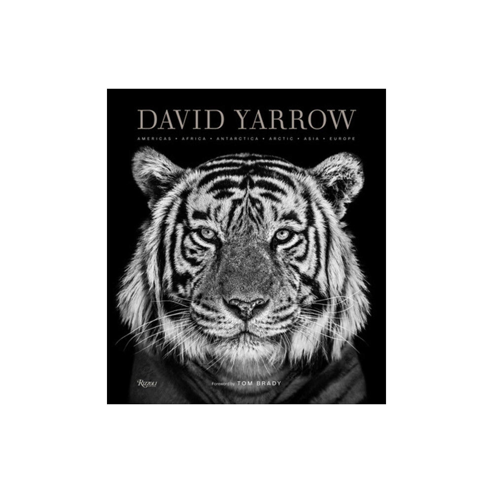 Rizzoli International Publications David Yarrow Photography (inbunden, eng)