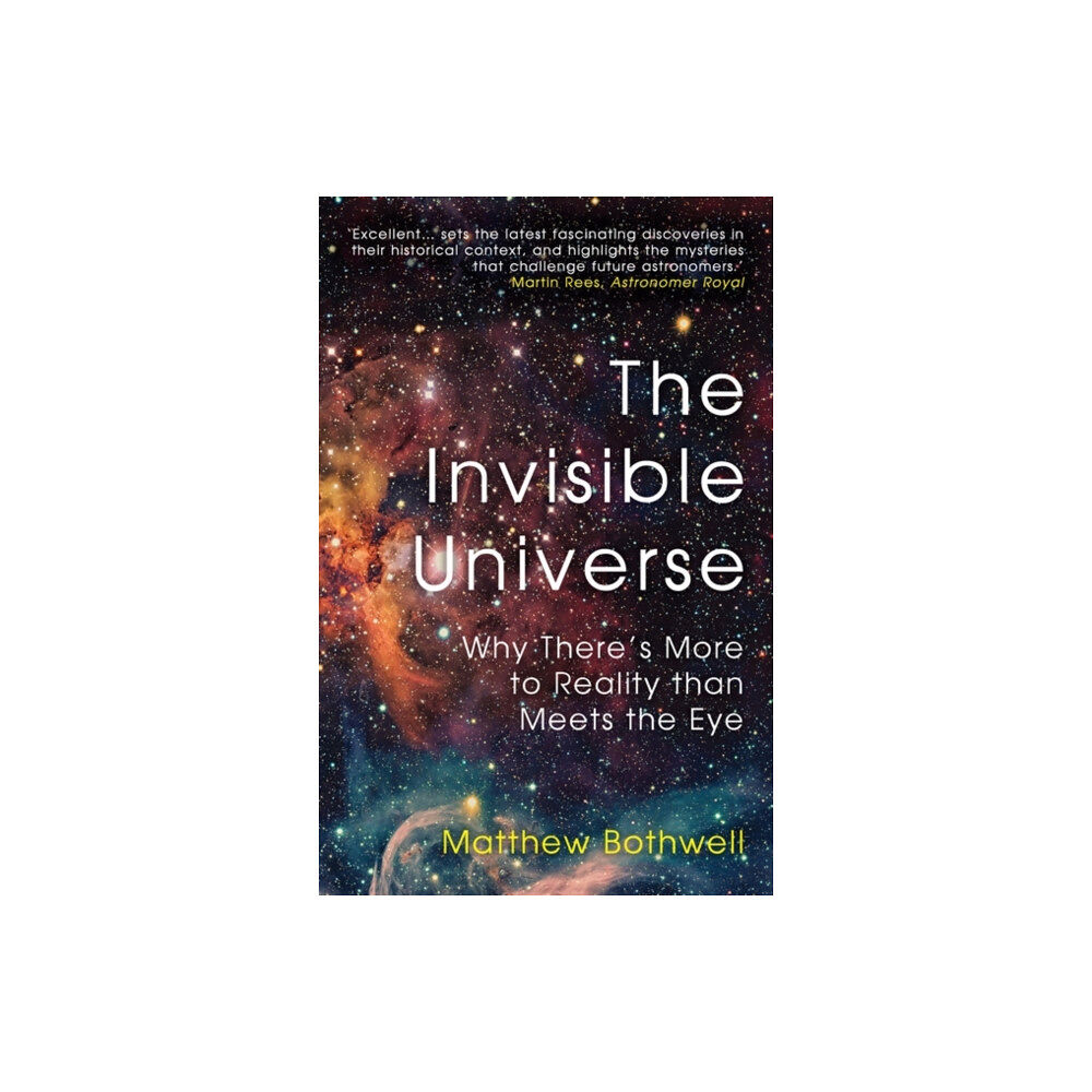 Oneworld Publications The Invisible Universe (häftad, eng)