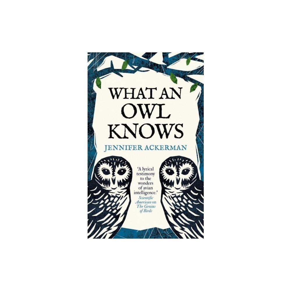 Oneworld Publications What an Owl Knows (inbunden, eng)