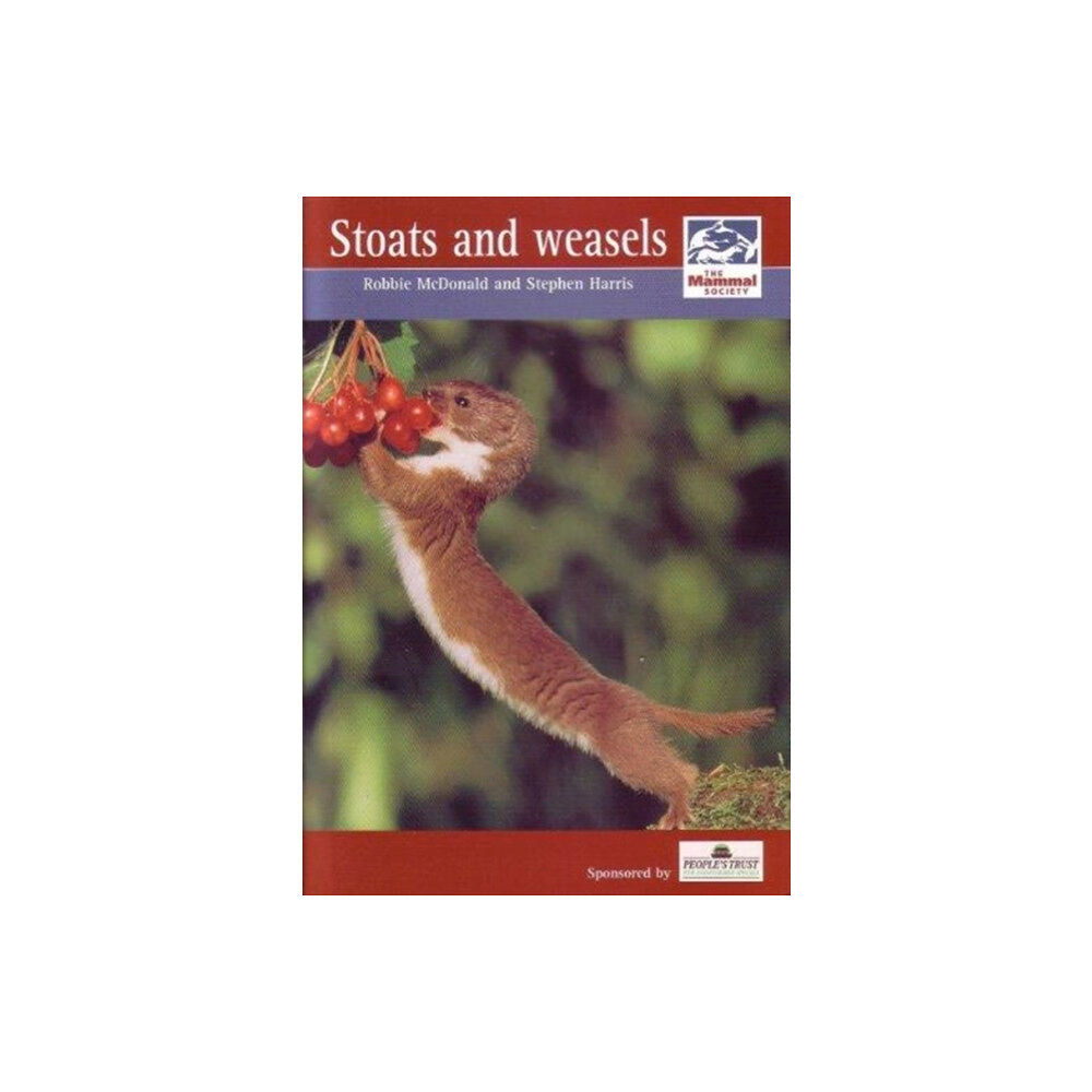 Mammal Society Stoats and Weasels (häftad, eng)