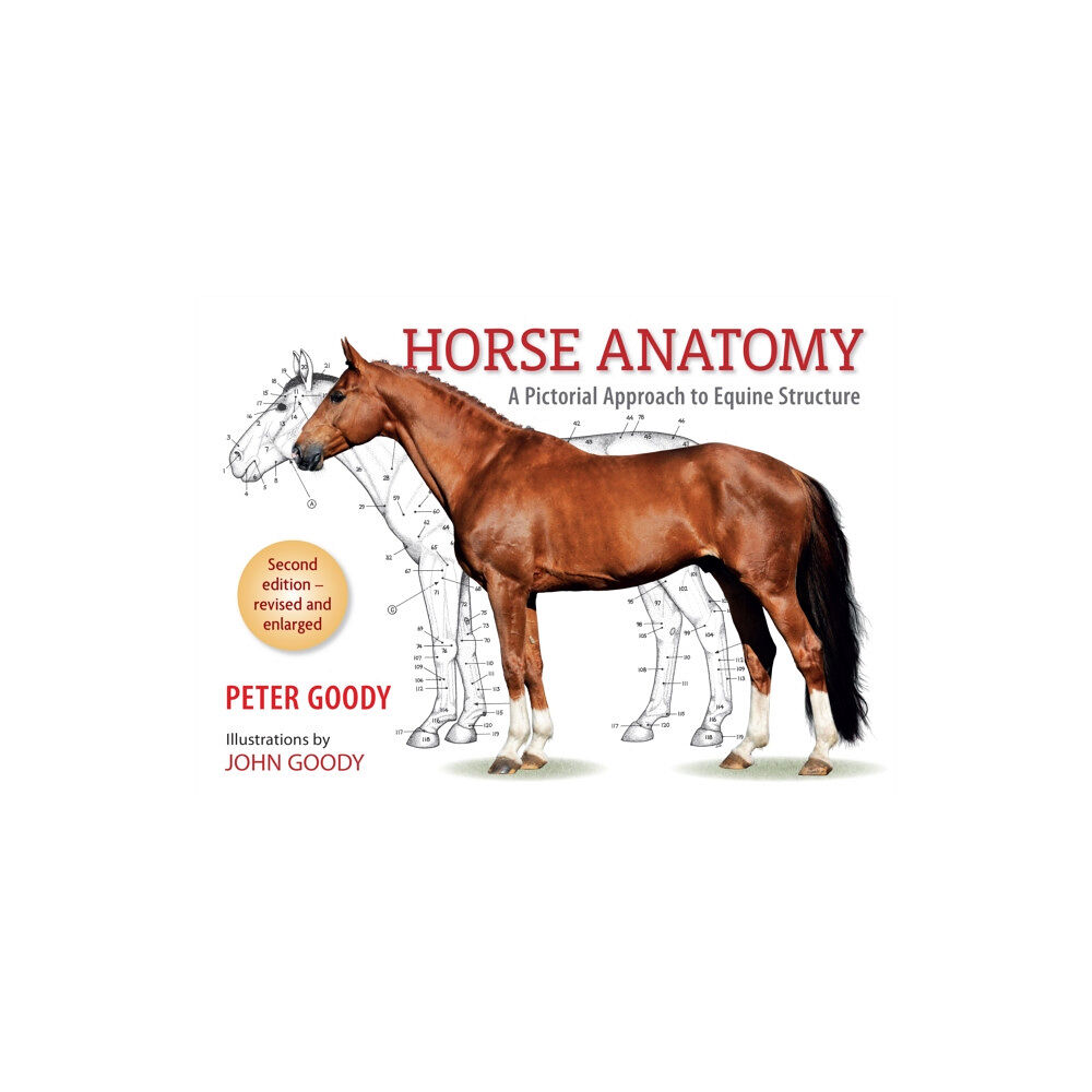 The Crowood Press Ltd Horse Anatomy (häftad, eng)